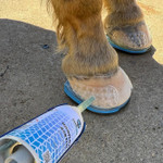 EasyShoe Triple D Glue-on Horseshoes