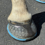 EasyShoe Triple D Glue-on Horseshoes