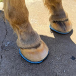 EasyShoe Triple D Glue-on Horseshoes