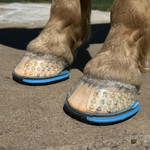 EasyShoe ULTRA Triple D Glue-on Horseshoes