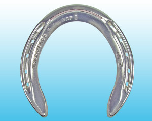 World Race Plate Hind (Size 4-7) World Race Plate Hind (Size 4-7)