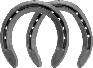 St. Croix Eventer - Front & Hind - Quarter Clipped St. Croix Eventer - Front & Hind - Quarter Clipped