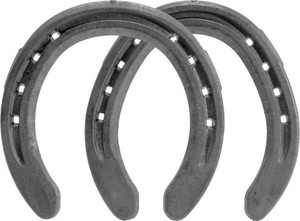 St. Croix Eventer PLUS - Front and Hind - Quarter Clipped St. Croix Eventer PLUS - Front and Hind - Quarter Clipped