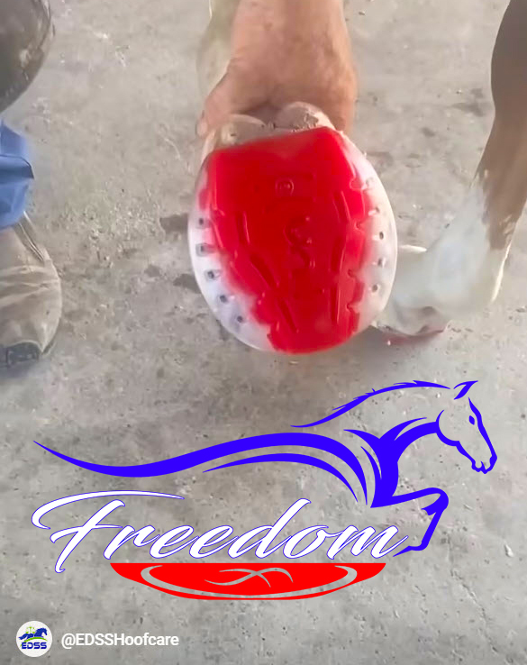 freedomglue-short-videoclip.jpg