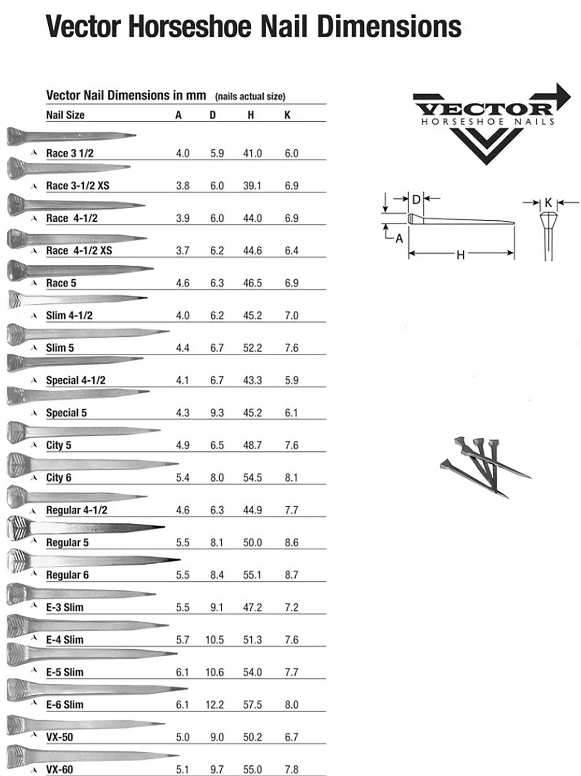 Horseshoe Size Chart