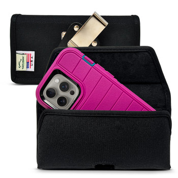 パンデイロとマイネルのケース パンデイロとマイネルのケース