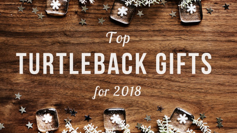 Top Turtleback Gifts for 2018