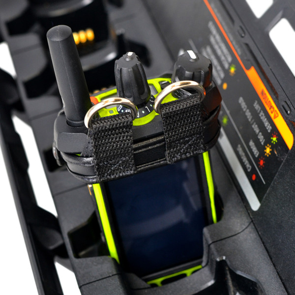 A-MotAPXNEXTDRL-S9__62946.