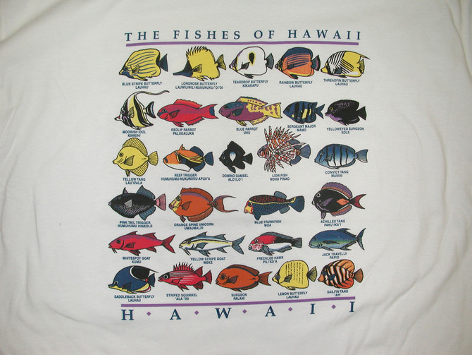 RJC Men's The Fishes of Hawaii Hawaiian Tshirt - Hawaii Imprint