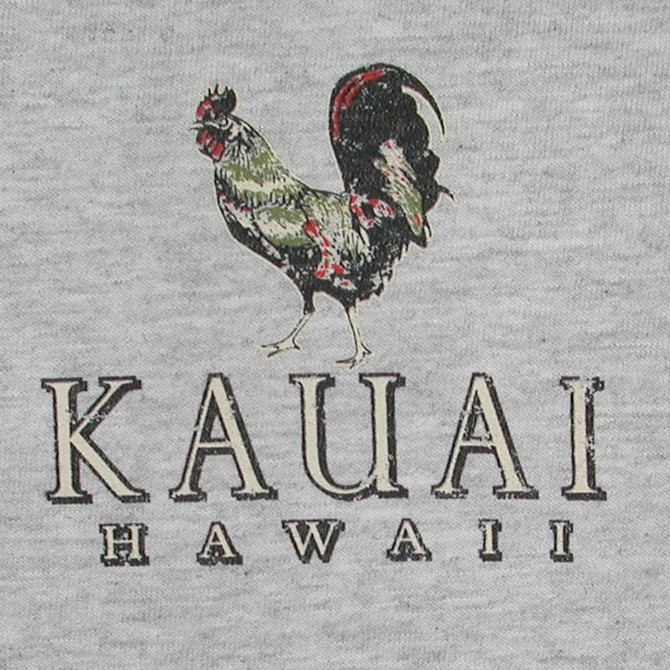 Island Lifestyle Screenprinted Hawaiian T-Shirt