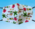 Hawaiian Cotton Face Mask Reversable