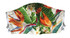 Hawaiian Cotton Face Masks
