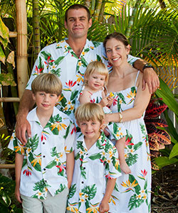 Bird of Paradise Display