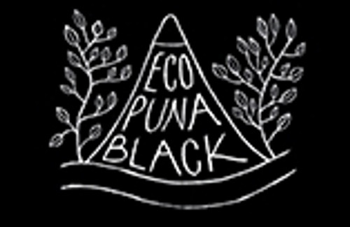 EcoPuna Black Logo