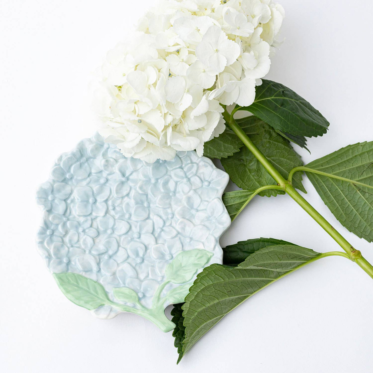 24時間限定タイムセール Dish Hydrangea Set Lane Oak 8 - 4 of テープ・マスキングテープ