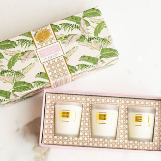 8 Oak Lane Natural Botanical 3 Piece Assorted Candle Boxed Set
