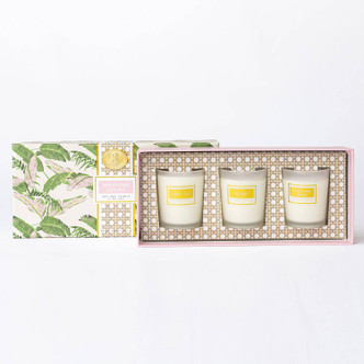 8 Oak Lane Natural Botanical 3 Piece Assorted Candle Boxed Set