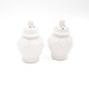 8 Oak Lane Boxed Salt & Pepper Set- White Ginger Jar