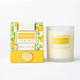 Image of 8 Oak Lane Orange Basil 5.6oz Soy Wax Candle