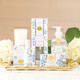 Detail of 8 Oak Lane Gifts