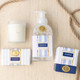 Image of 8 Oak Lane Teakwood 15oz Foaming Hand Soap