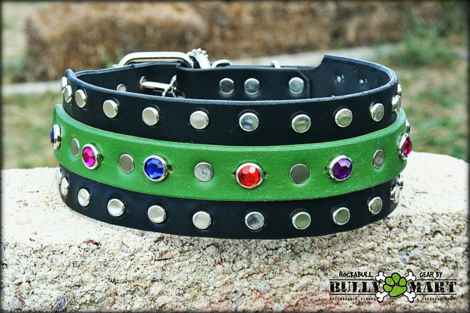 custom bully collars
