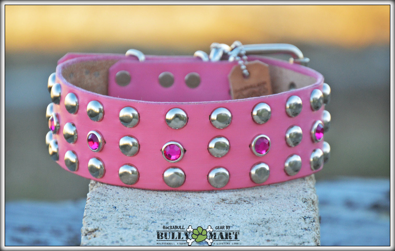 hot pink spiked dog collar