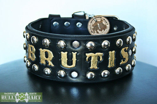 2" 'BENTLEY ALPHA VIVID LUX' - Stamp n' Studded Dog Collar