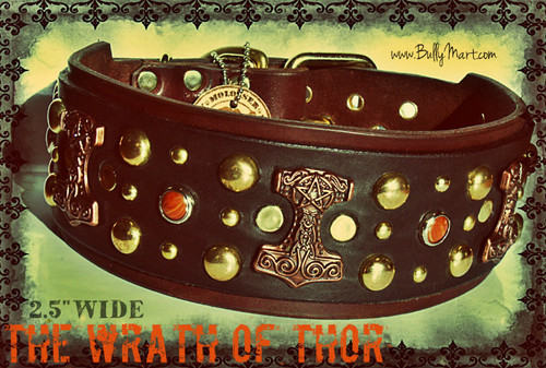 The Wrath of Thor shown in 2.5" wide black on chocolate w/ brass hardware and tiger eye stones.