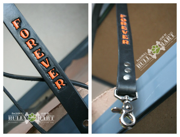 4' ALPHA VIVID STAMPED PERSONALIZED DOG LEAD