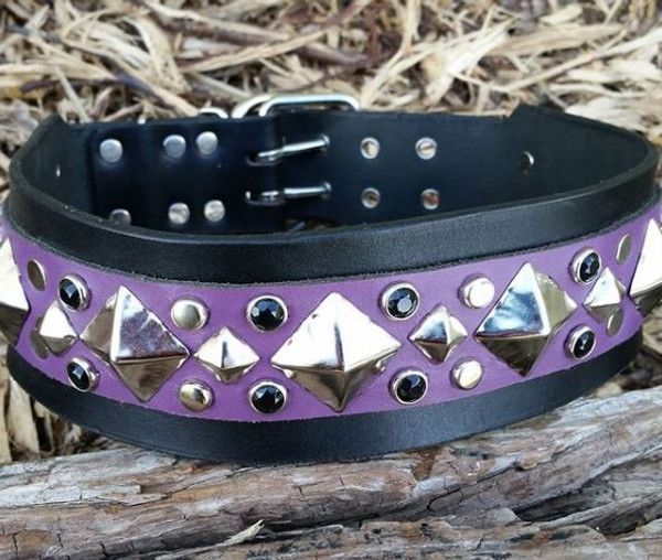 2.5" Interstellar Leather Dog Collar