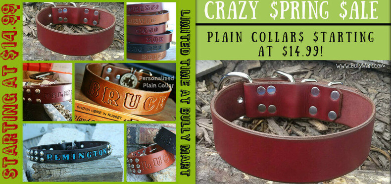 Spring Sale Almost Over! Dog Collars Starting at $14.99