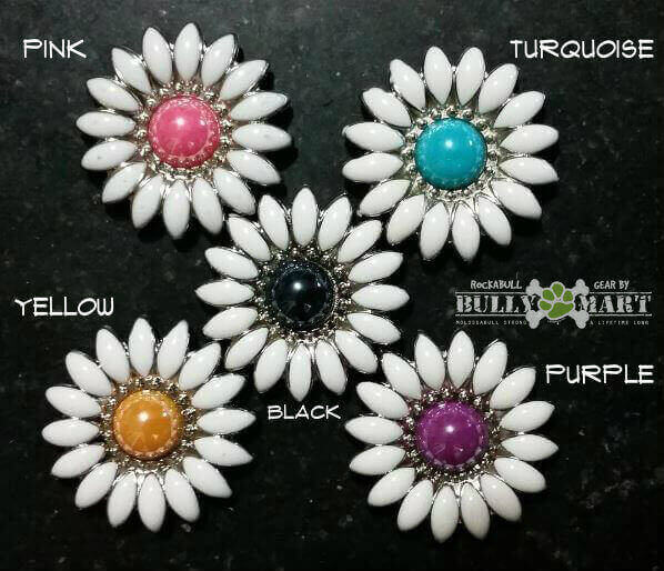 daisy-flower-color-options.jpg