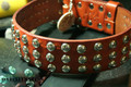 1.5" 'STUDDED CLASSIC' - Leather Dog Collar