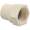 3/4 in. CPVC-CTS Slip x FIPT Adapter Fitting 3/4 in. CPVC-CTS Slip x FIPT Adapter Fitting