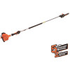 ECHO 10 in. 21.2 cc Gas 2-Stroke Cycle Pole Saw