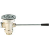 T&S 3 in. x 2 in. Lever Waste Drain