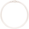 Satco 40-Watt 12 in. Circline T5 2GX13 Base Fluorescent Tube Light Bulb, Neutral White