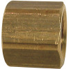 Sioux Chief 1/4 in. Brass FPT Cap