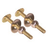 ProPlus 1/4 in. x 2-1/4 in. Round Toilet Bolt, Brass Plated