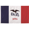 Valley Forge Flag 3 ft. x 5 ft. Nylon Iowa State Flag
