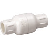 Homewerks Worldwide 3/4 in. Solvent x 3/4 in. Solvent Schedule 40 PVC Spring Check Valve
