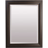 American Pride 24 in. x 30 in. Custom Select Framed Beveled Makeup Mirror in Venetian Bronze