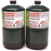 Coleman 1 lb. Coleman Propane Gas Cylinder (2-Pack)