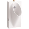 KOHLER Steward 0.125 GPF Urinal in White