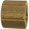 Sioux Chief 3/4 in. Lead-Free Brass FPT Cap