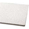 Armstrong CEILINGS Fine Fissured 2 ft. x 4 ft. Square Lay-in Ceiling Tile (96 sq. ft./case)