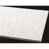 Armstrong CEILINGS Fissured 2 ft. x 4 ft. Square Lay-In Ceiling Tile (96 sq. ft. / Case)