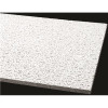 Armstrong CEILINGS Fissured 2 ft. x 4 ft. Square Lay-In Ceiling Tile (96 sq. ft. / Case)