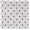 MSI Marble Blossom 14 in. x 14 in. Polished Marble Floor and Wall Tile (12.1 sq. ft./Case)